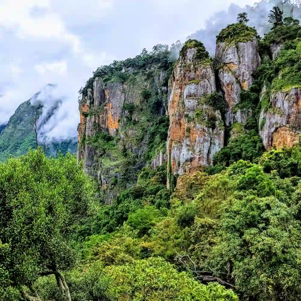 The majestic Pillar Rocks in Kodaikanal, featuring three giant rock formations surrounded by mist and green forests.